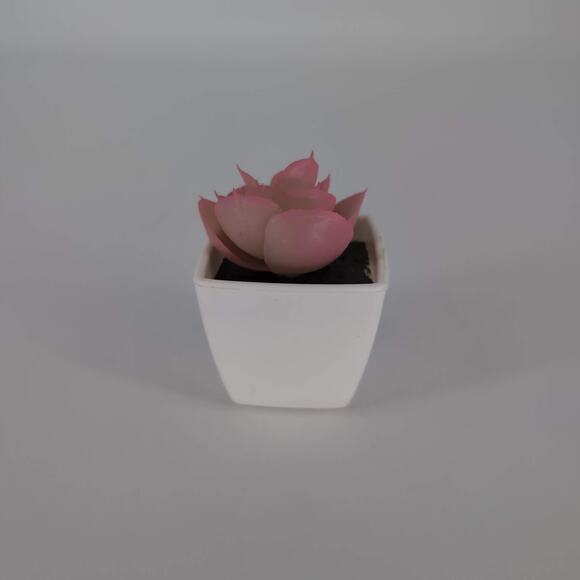 Mini Fake Faux Artificial Pink Succulent Potted Plant in Plastic White Pot - GUC - Picture 4 of 9